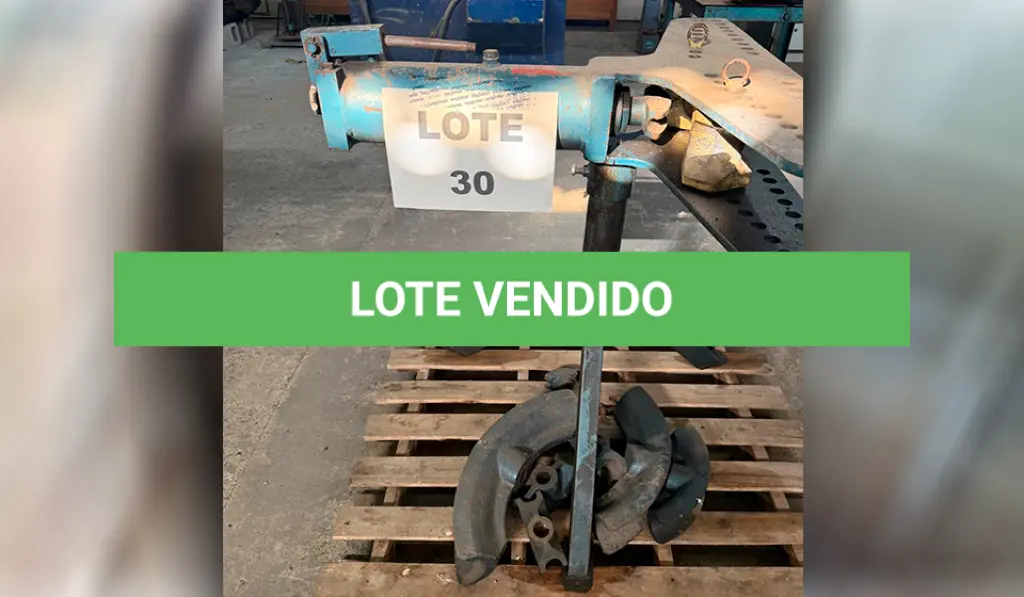 LOTE 030