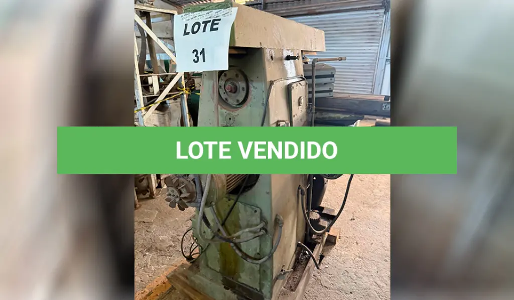 LOTE 031