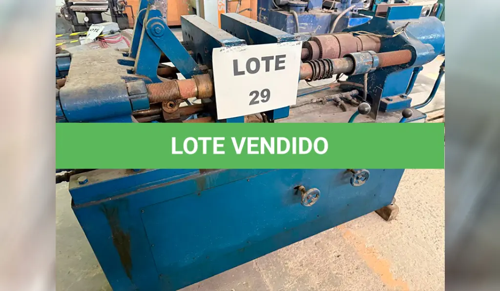 LOTE 029